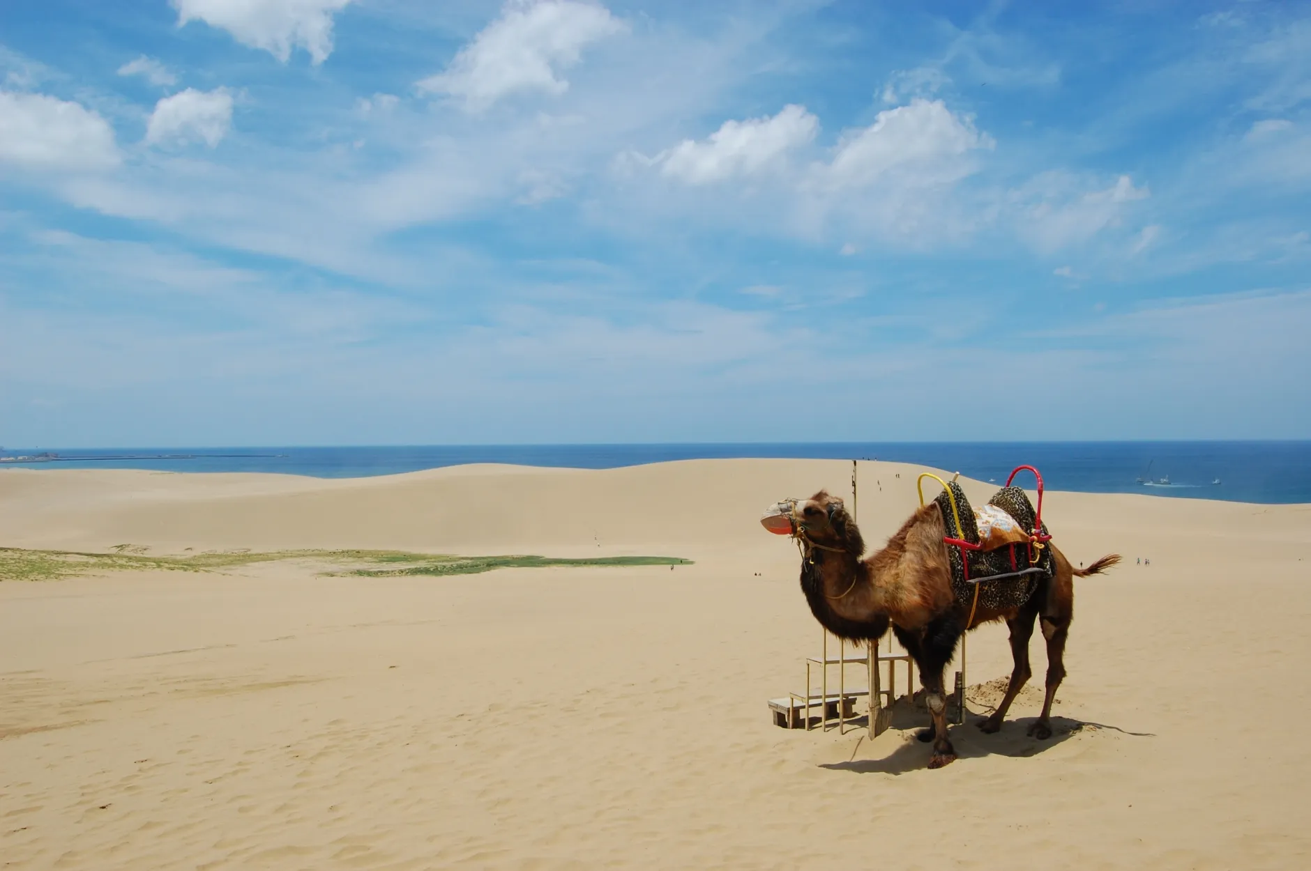 dunas-de-arena-de-tottori-en-japon