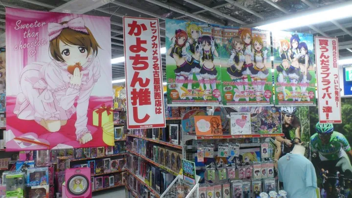 Encuesta revela situación del mercado otaku en Japón este 2014