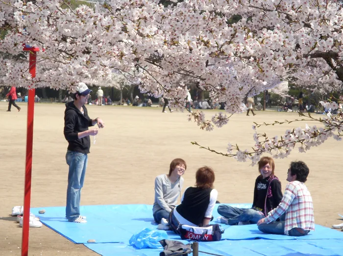 hanami-2015