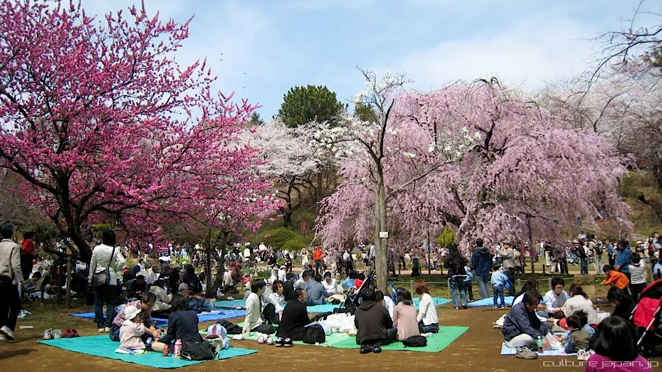 hanami