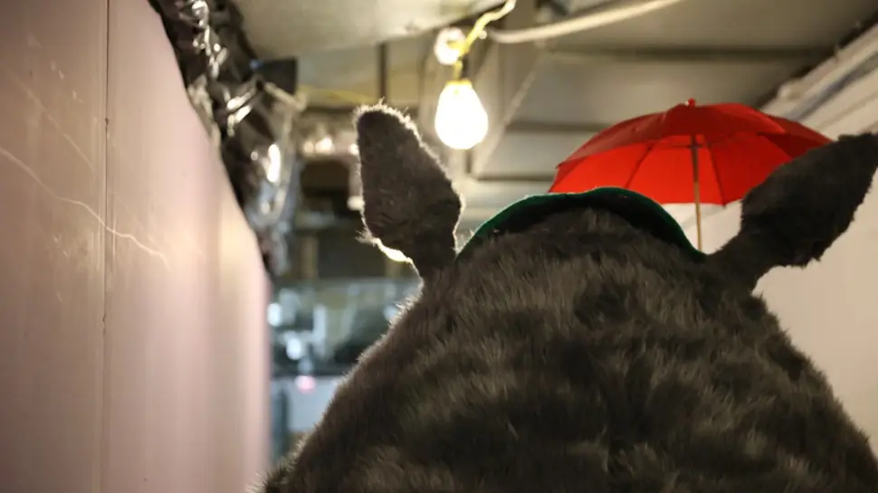 Adam Savage y su increíble cosplay de Totoro en la #NYCC